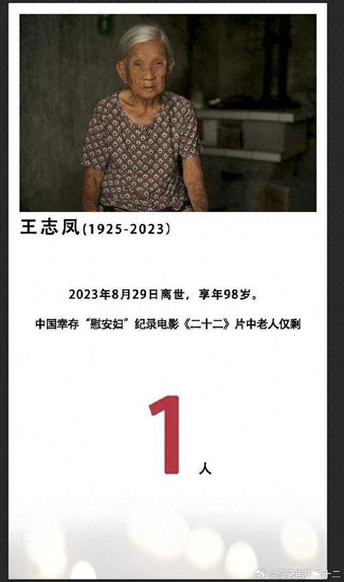 记录片二十二在线观看,揭秘历史真相的深度之旅